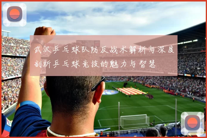 武汉乒乓球队防反战术解析与深度剖析乒乓球竞技的魅力与智慧