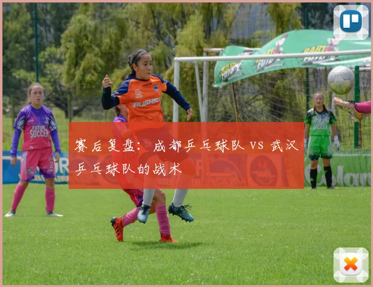 赛后复盘：成都乒乓球队 vs 武汉乒乓球队的战术