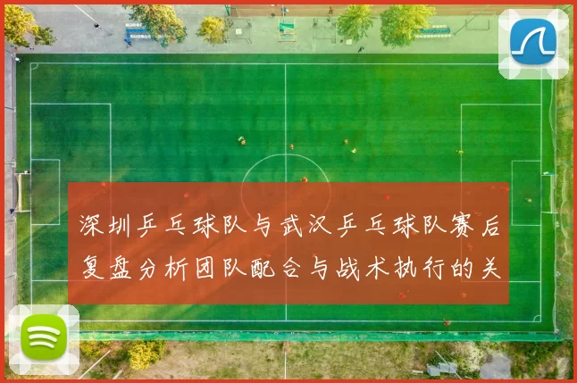 深圳乒乓球队与武汉乒乓球队赛后复盘分析团队配合与战术执行的关键因素