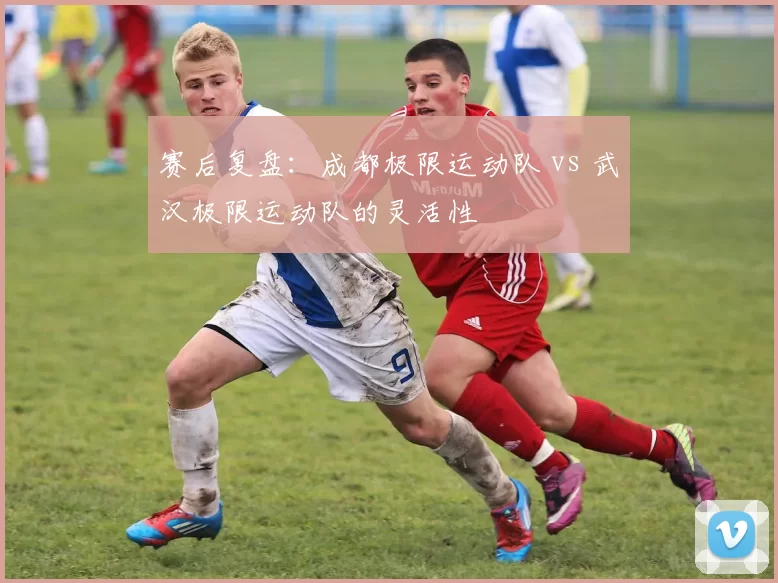 赛后复盘：成都极限运动队 vs 武汉极限运动队的灵活性