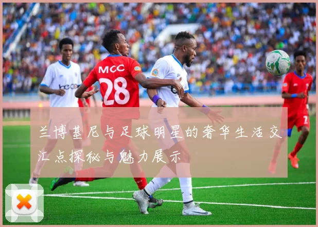 兰博基尼与足球明星的奢华生活交汇点探秘与魅力展示