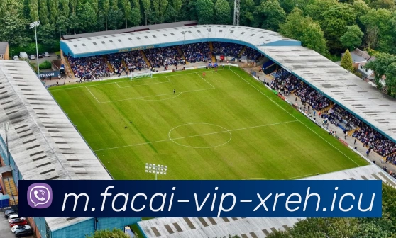 米兰体育平台生态图